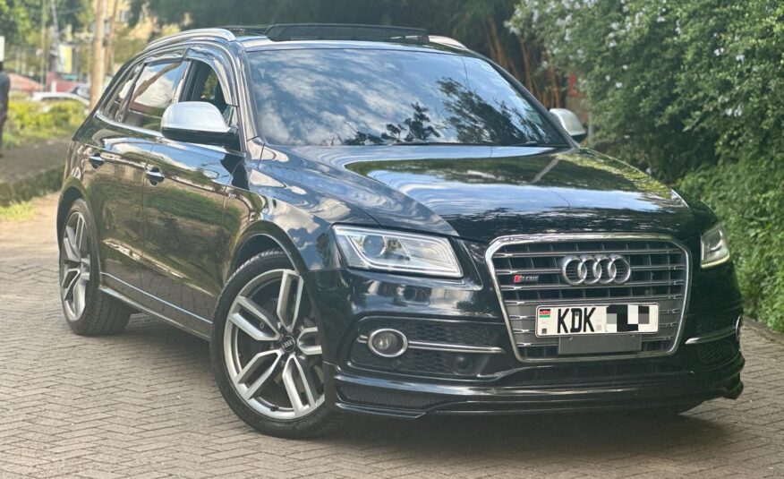 2015 Audi SQ5/ panoramic sunroof