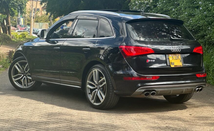 2015 Audi SQ5/ panoramic sunroof