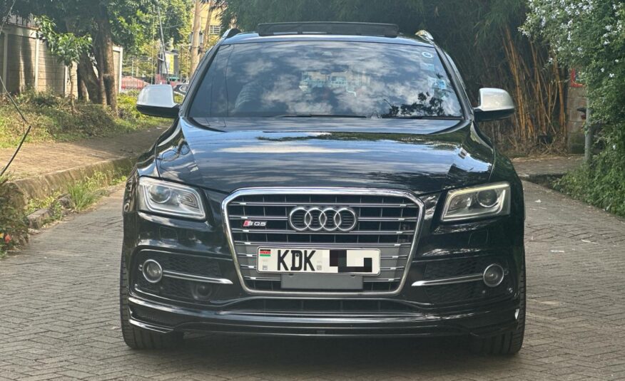 2015 Audi SQ5/ panoramic sunroof