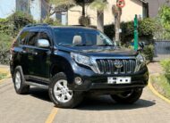 2010 Toyota Landcruiser Prado TX