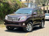 2010 Toyota Landcruiser Prado TX-L