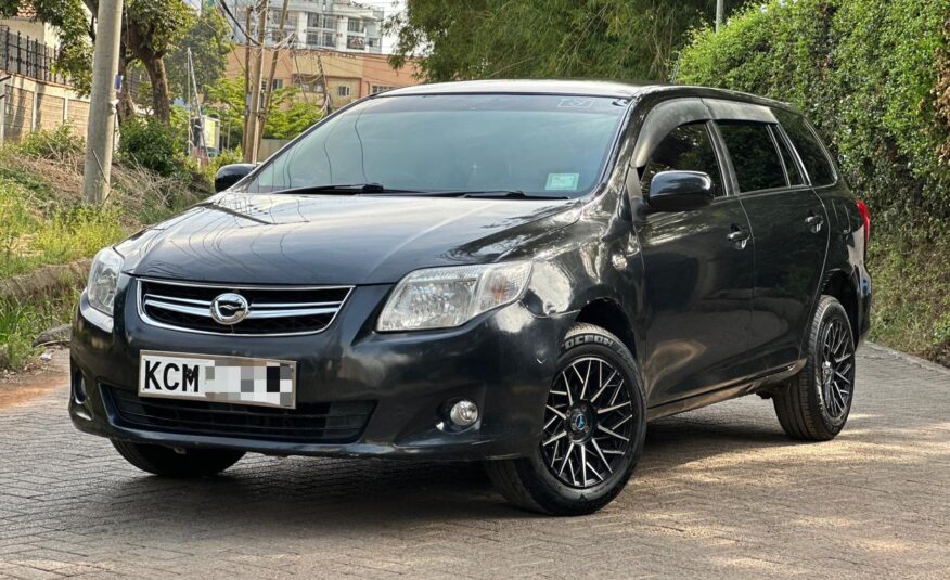 2011 Toyota Fielder