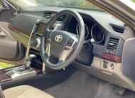 2010 Toyota Mark X 250G