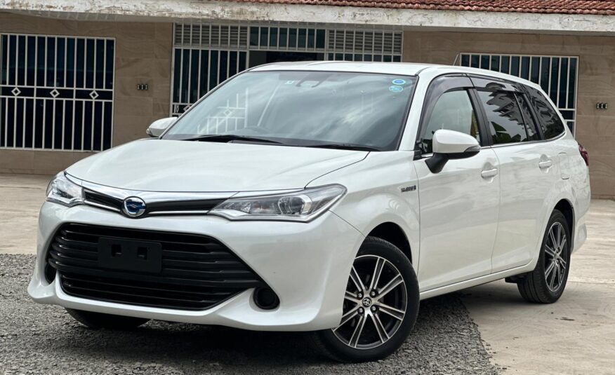 2017 Toyota Fielder (Hybrid)