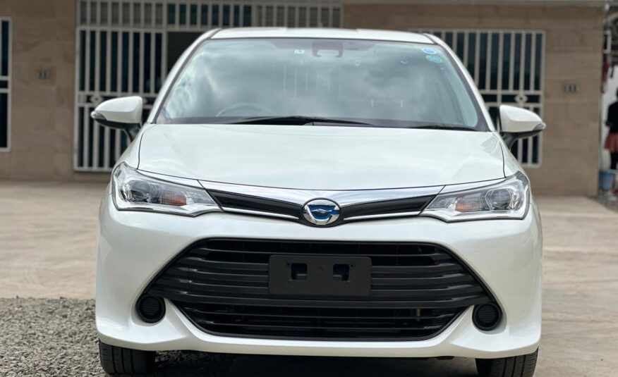 2017 Toyota Fielder (Hybrid)